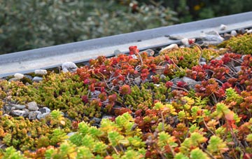 the cost of Marsh Common green roof installation